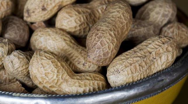arachidi,arachide,noccioline,frutta secca