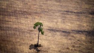 Il costo dei disastri naturali &egrave; salito di venti volte negli ultimi 50 anni