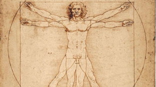 Leonardo Da Vinci, il Tar sospende il prestito dell'Uomo Vitruviano al Louvre