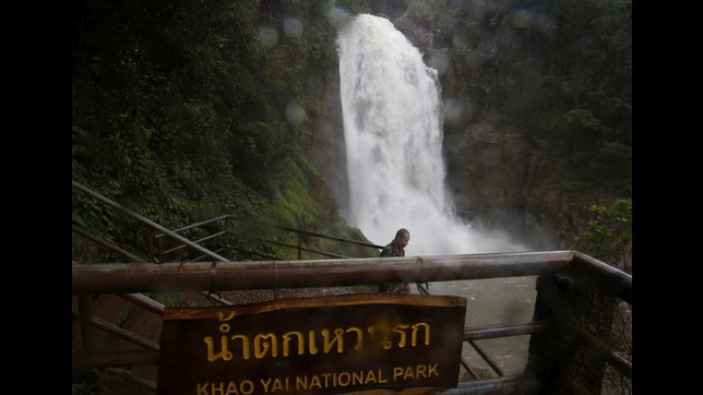 Thailandia: 11 elefanti morti in cascata parco nazionale