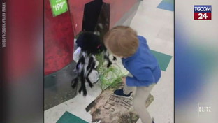 Halloween si avvicina, ma non a tutti i bambini piacciono gli scherzi