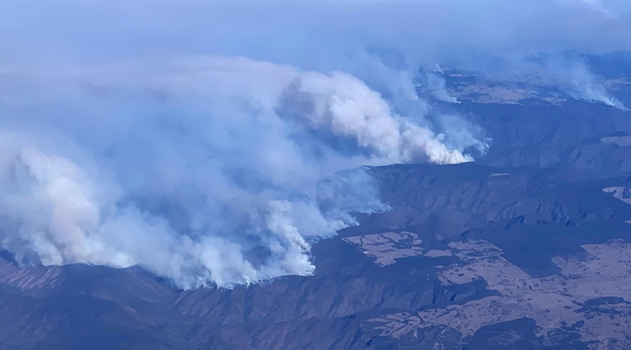 Incendi in Australia, dichiarato stato di emergenza ...