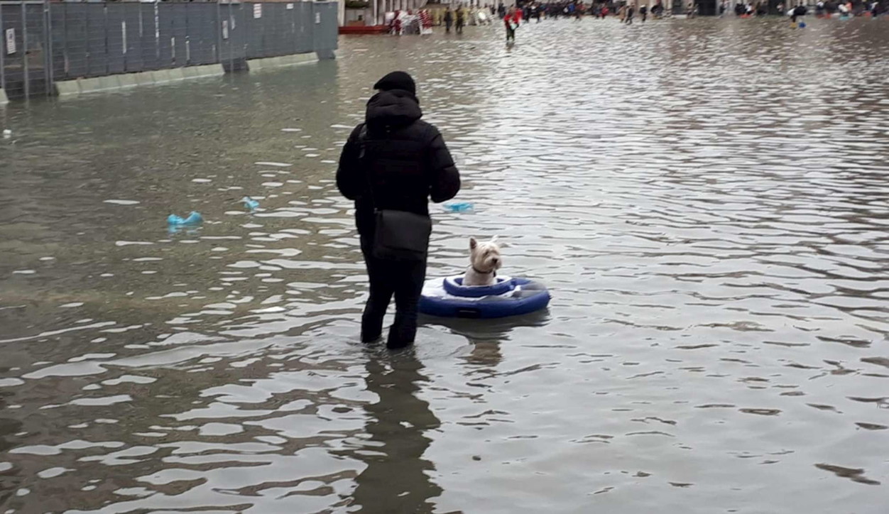 Venezia sommersa, barche e gondole devastate per la città