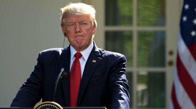 donald trump generica