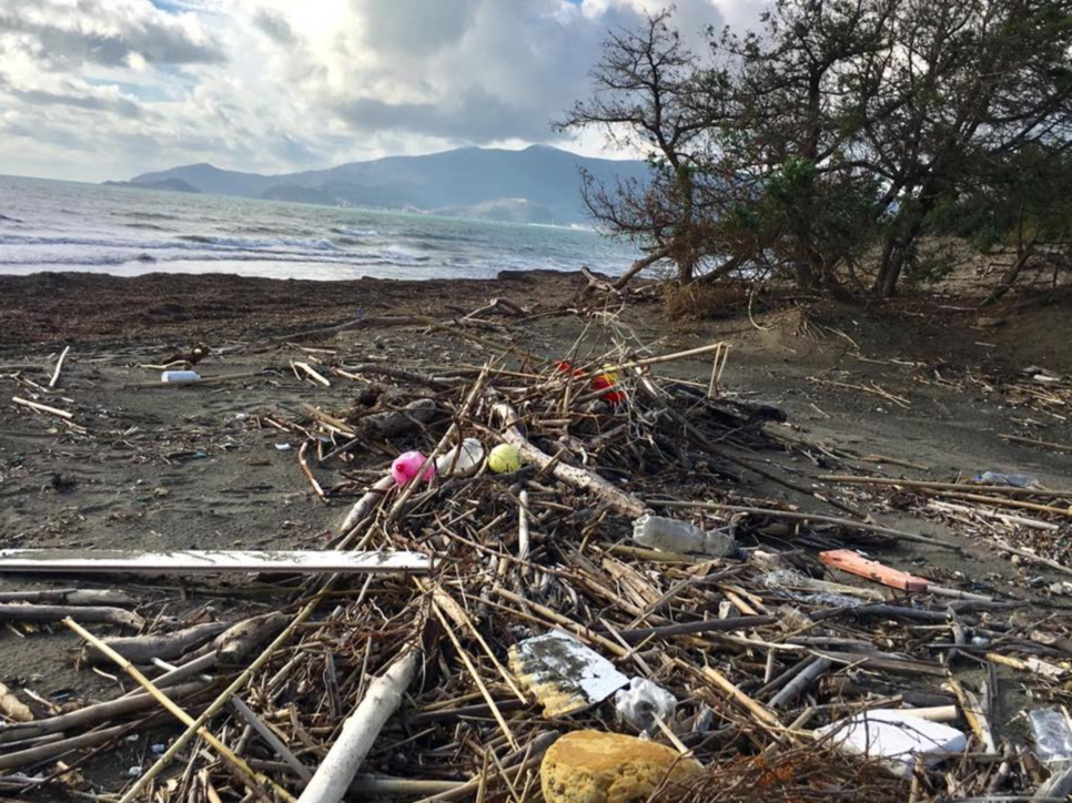 Toscana, la spiaggia devastata negli scatti postati da Pelù