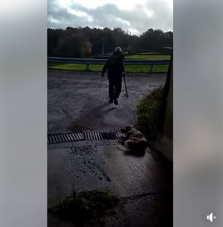 In Presenza Di Un Ferito In Stato Di Shock