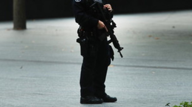 polizia new york usa