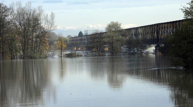 ticino, pavia