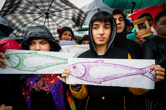 Le Sardine piacciono agli studenti, ma uno su due ancora non le conosce