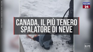 Canada, il più tenero spalatore di neve