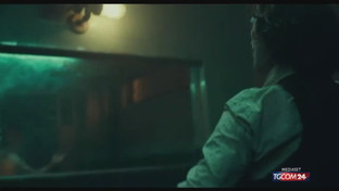 Joaquin Phoenix arrestato a Washington durante la manifestazione sul clima