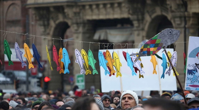 sardine bologna