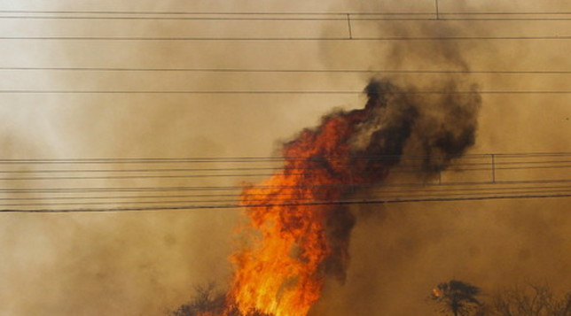 amazzonia incendi brasile
