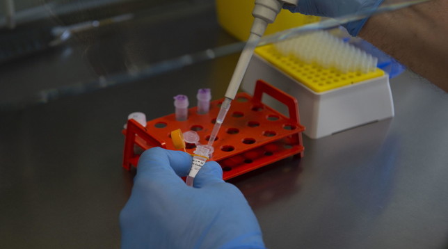 coronavirus