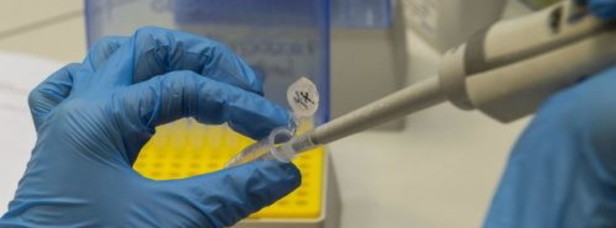 Austria, 55 casi di coronavirus