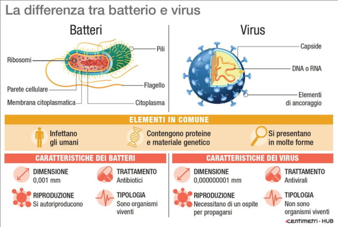 dimensione del virus contro i batteri dimensione del virus contro i batteri