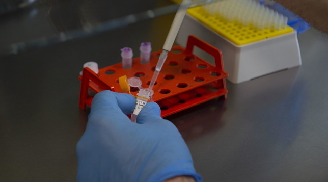 coronavirus