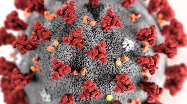 coronavirus