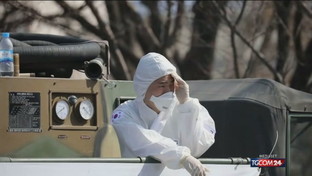 Coronavirus, la situazione a livello mondiale