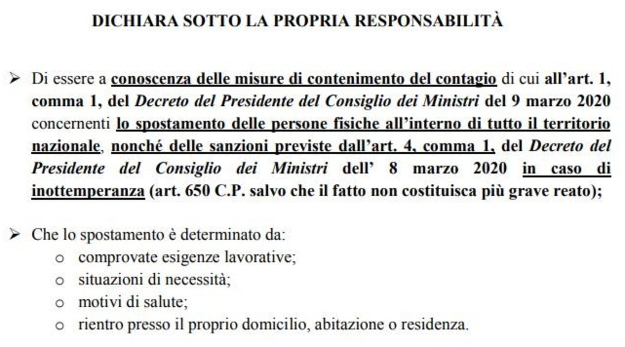 scaricare puntata amici serale