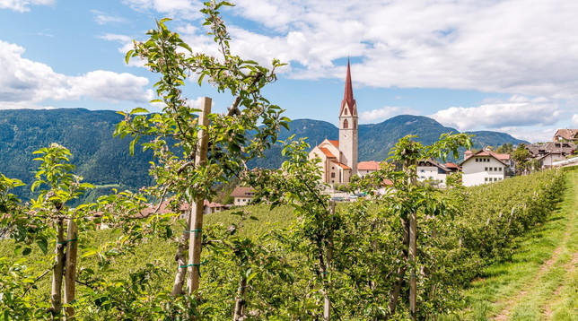 Alto Adige: Renon, il paradiso sopra Bolzano