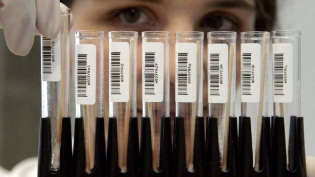 Dna ricerca sangue ricercatore test