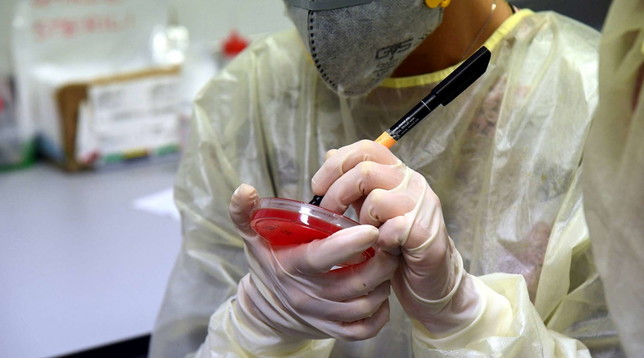 coronavirus laboratorio bologna sant'orsola