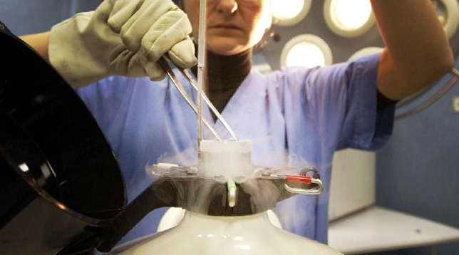 fecondazione sanità ricerca feto