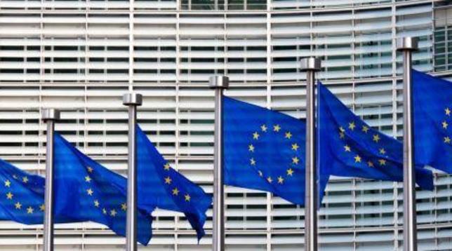 Commissione Ue bandiera
