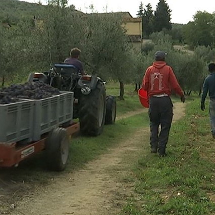Accordo lavoratori migranti, Bellanova-Lamorgese: "Ha vinto la dignit&agrave;"