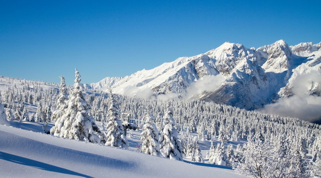 inverno, Gallery, neve, freddo, natura