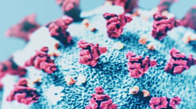 coronavirus covid-19 generica
