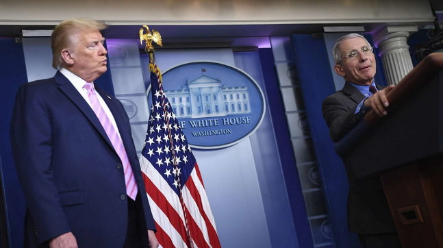 fauci trump