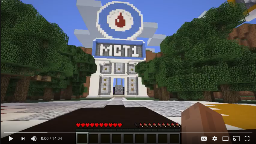 Minecraft - Diabete - Università di Bristol