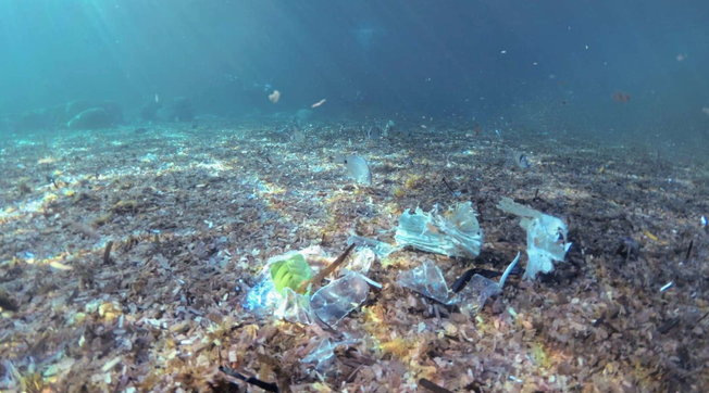 rifiuti mare plastica