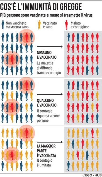 I vaccini, come si creano e quanto funzionano