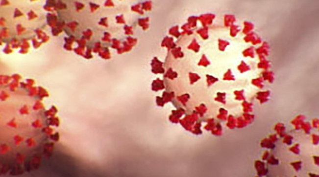 coronavirus covid-19 generica