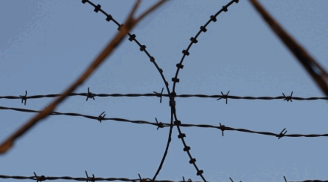 tortura carcere