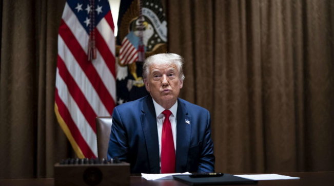 donald trump generica
