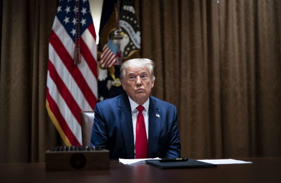 donald trump generica