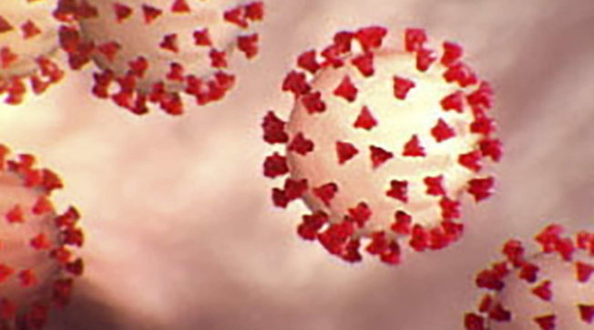 coronavirus covid-19 generica