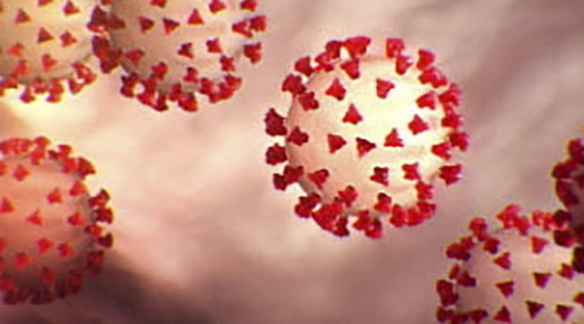 coronavirus covid-19 generica