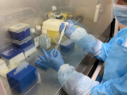 coronavirus, test salivare rapito, daily tampon