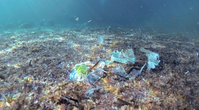 rifiuti mare plastica