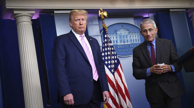 fauci trump