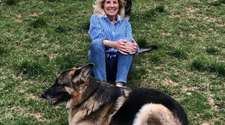 Usa, con la vittoria di Joe Biden tornano anche i cani alla Casa Bianca: Major e Champ saranno i "First dogs"