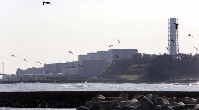 fukushima terremoto