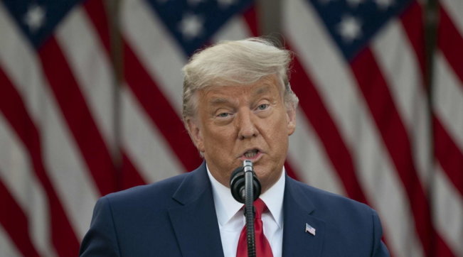donald trump capelli grigi