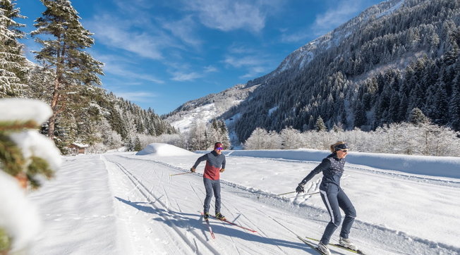 Svizzera sci