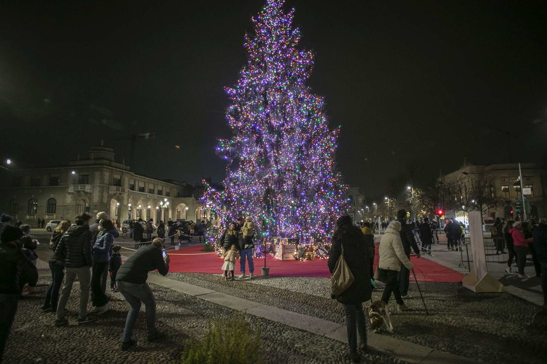 Natale, acceso in centro a Bergamo l'albero della speranza post-Covid